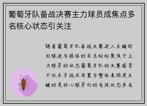 葡萄牙队备战决赛主力球员成焦点多名核心状态引关注