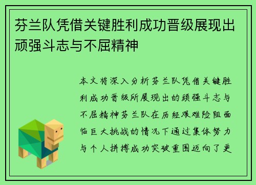 芬兰队凭借关键胜利成功晋级展现出顽强斗志与不屈精神