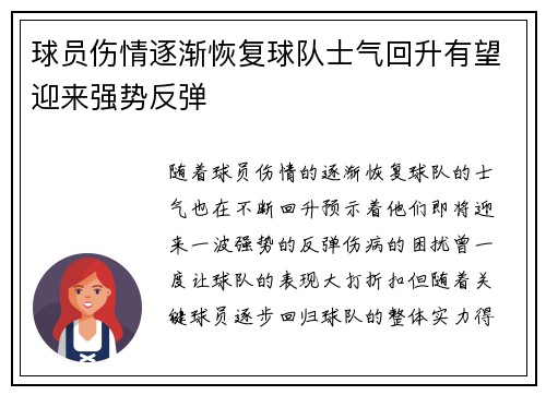 球员伤情逐渐恢复球队士气回升有望迎来强势反弹