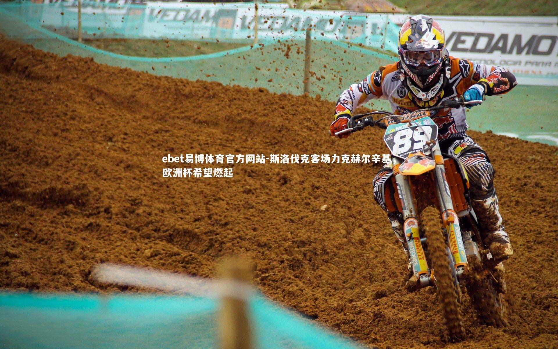 斯洛伐克客场力克赫尔辛基,欧洲杯希望燃起