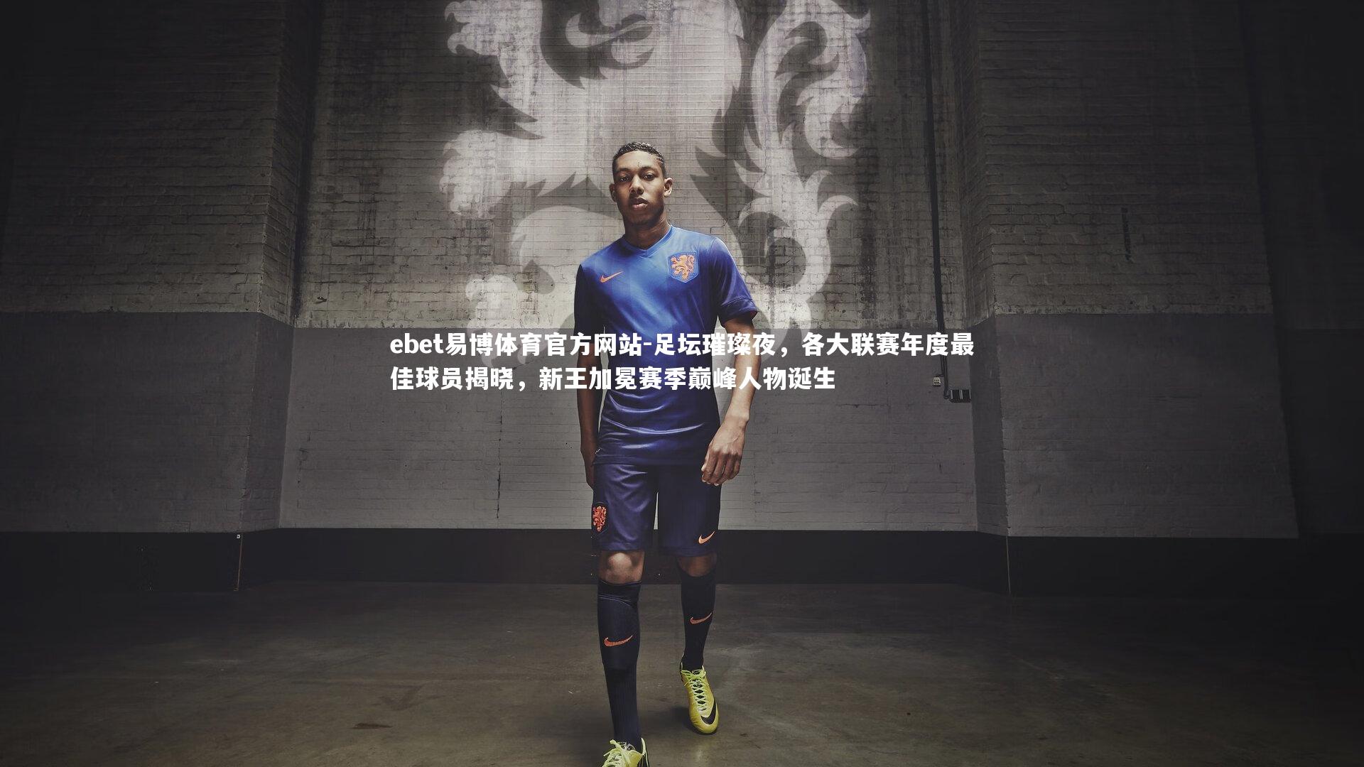 足坛璀璨夜，各大联赛年度最佳球员揭晓，新王加冕赛季巅峰人物诞生